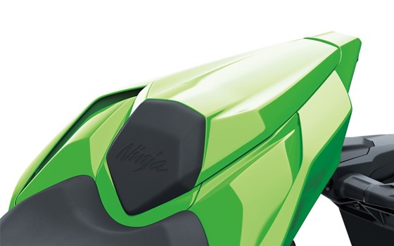 Neufahrzeug Kawasaki Ninja ZX-10RR - Bild 4