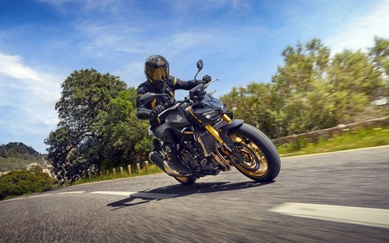 Gebrauchtmotorrad Honda CB1000 Hornet SP - Bild 13