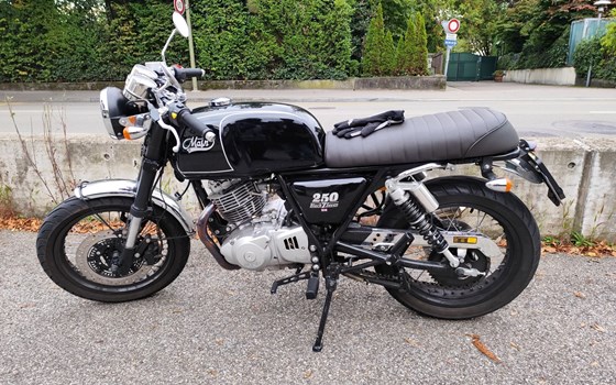 Motorrad Occasion Mash Black Seven 250 - Bild 1