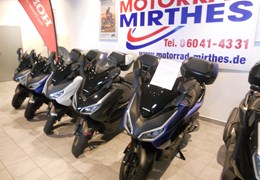 Neumotorrad Honda Forza 125