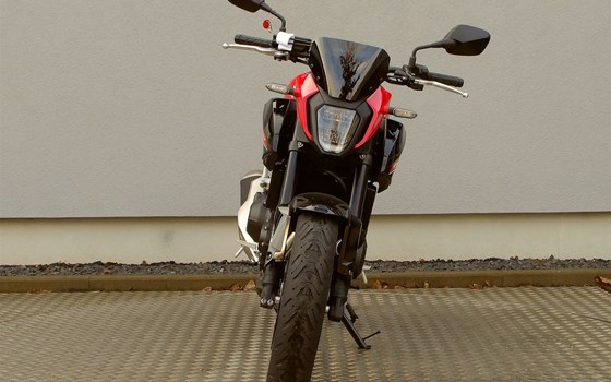 Neufahrzeug Honda CB500 Hornet - Bild 3