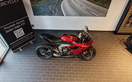Neufahrzeug Triumph Daytona 660 - Bild 11