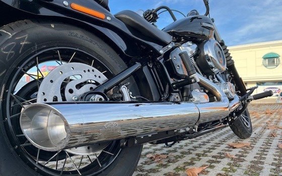 Neufahrzeug Harley-Davidson Softail Street Bob FXBB - Bild 8