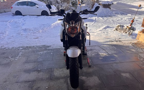 Gebrauchtmotorrad Yamaha XJ6 - Bild 2