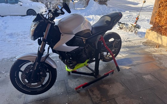 Gebrauchtmotorrad Yamaha XJ6 - Bild 3