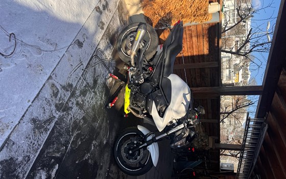 Gebrauchtmotorrad Yamaha XJ6 - Bild 7