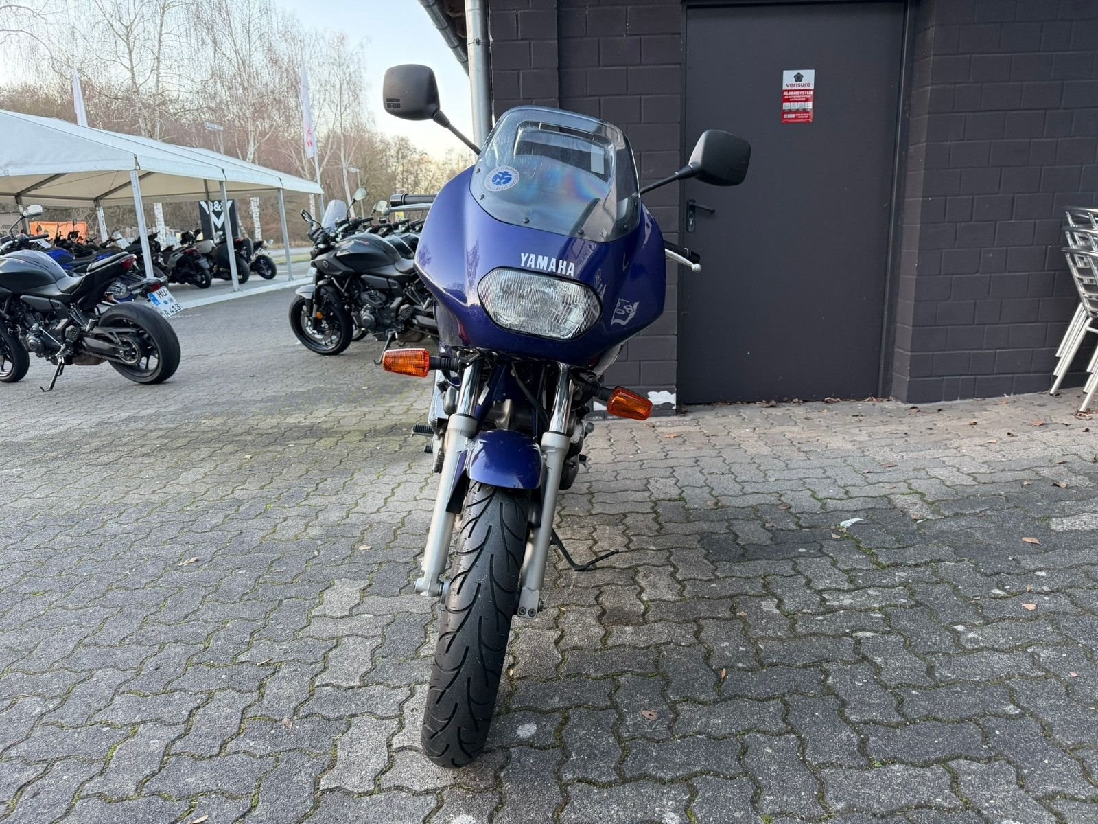 Yamaha XJ 600 S Diversion