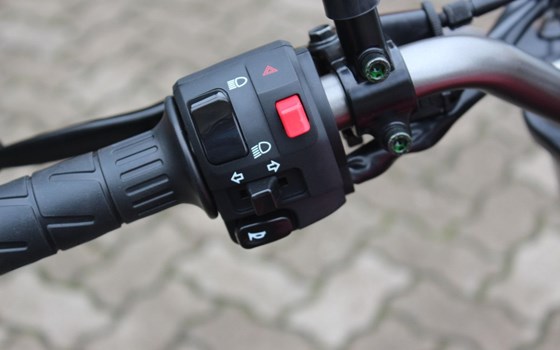 Neufahrzeug Kawasaki Eliminator 500 - Bild 13