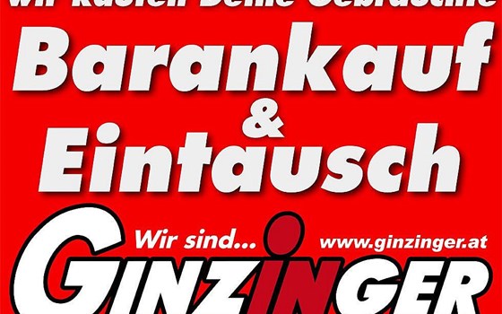 Neufahrzeug United Motors UM Renegade Freedom 125 - Bild 3