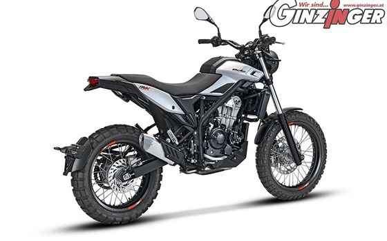 Neufahrzeug Beta Alp 4.0 - Bild 3