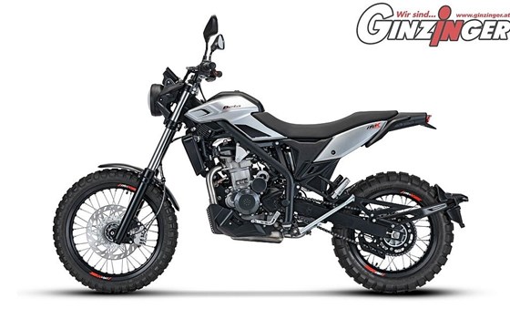 Neufahrzeug Beta Alp 4.0 - Bild 4