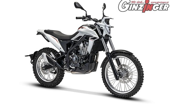 Neufahrzeug Beta Alp 4.0 - Bild 4