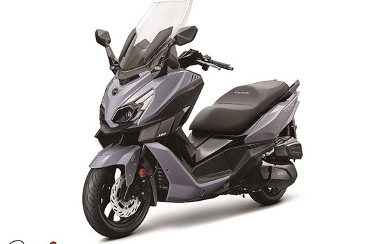 Neufahrzeug Sym Cruisym 300 - Bild 2