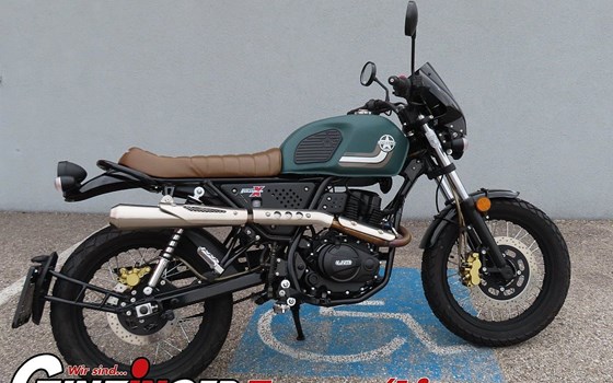 Gebrauchtmotorrad United Motors UM Scrambler X Naked 125 - Bild 4