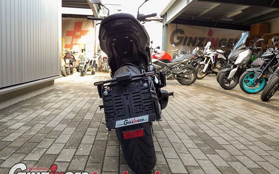 Neufahrzeug Moto Morini 6 1/2 Seiemmezzo STR - Bild 5