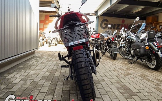 Neufahrzeug Moto Morini X-Cape - Bild 5