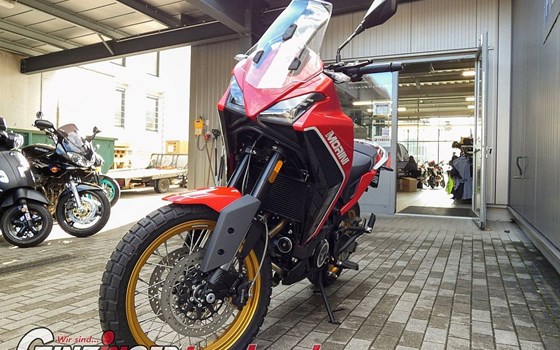 Neufahrzeug Moto Morini X-Cape - Bild 7