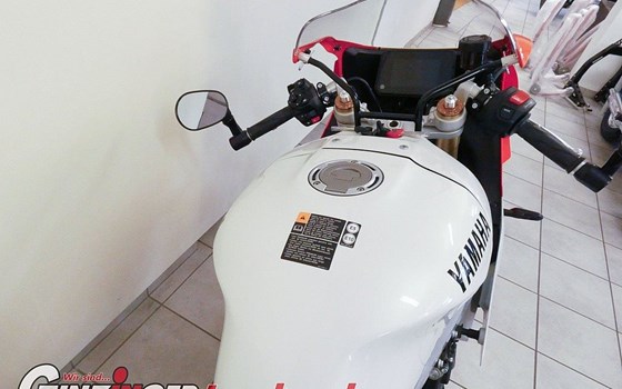 Neufahrzeug Yamaha XSR900 GP - Bild 8