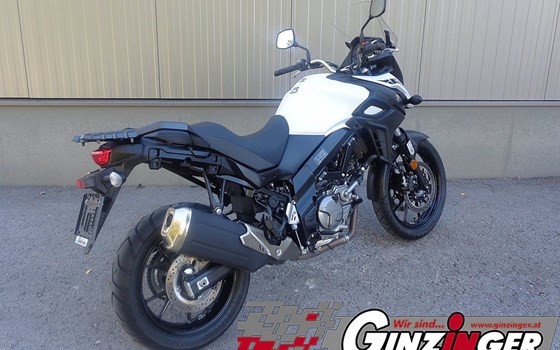 Neufahrzeug Suzuki V-Strom 650 - Bild 3