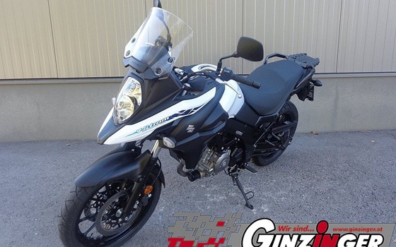 Neufahrzeug Suzuki V-Strom 650 - Bild 6