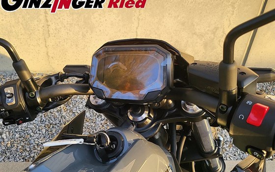Neufahrzeug Kawasaki Z650 - Bild 6