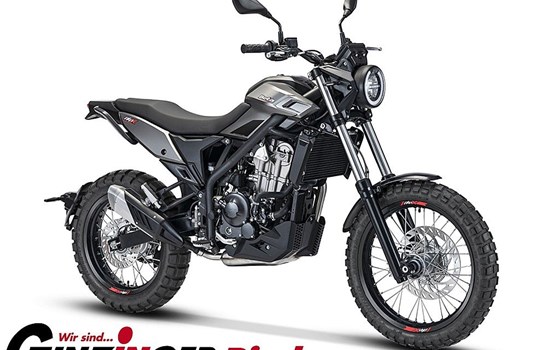 Neufahrzeug Beta Alp X - Bild 1