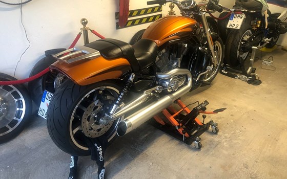 Gebrauchtmotorrad Harley-Davidson V-Rod Muscle VRSCF - Bild 3