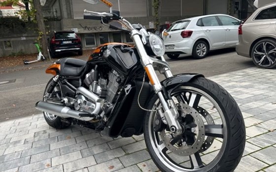 Gebrauchtmotorrad Harley-Davidson V-Rod Muscle VRSCF - Bild 4