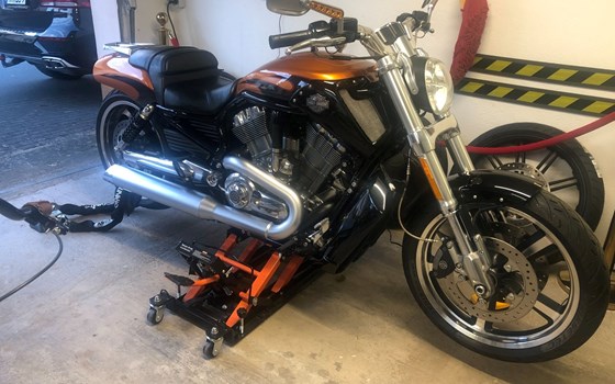 Gebrauchtmotorrad Harley-Davidson V-Rod Muscle VRSCF - Bild 7