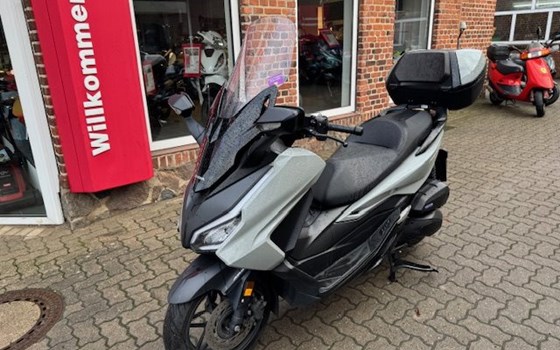 Gebrauchtmotorrad Honda Forza 125 - Bild 1