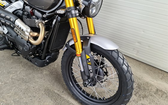 Neufahrzeug Triumph Scrambler 900 - Bild 3