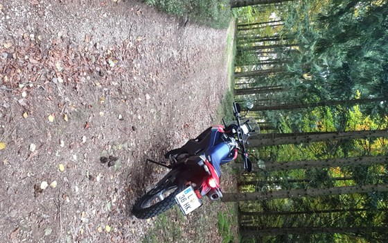 Gebrauchtmotorrad Honda CRF300 Rally - Bild 3