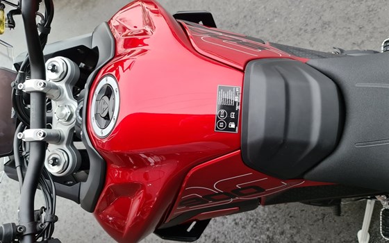 Neufahrzeug Triumph Tiger 900 GT Pro - Bild 9