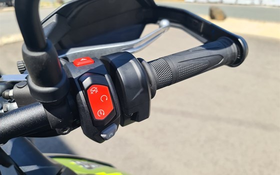 Neufahrzeug Triumph Tiger 900 Rally Pro - Bild 8