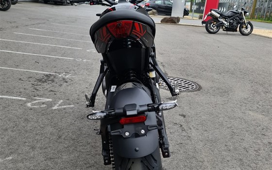 Neufahrzeug Triumph Trident 660 Triple Tribute - Bild 9