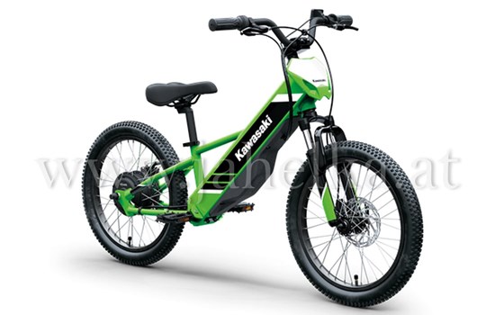 Neufahrzeug Kawasaki Elektrode 20 - Bild 2