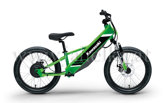 Neufahrzeug Kawasaki Elektrode 20 - Bild 1