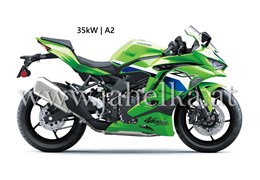 Neumotorrad Kawasaki Ninja ZX-4RR