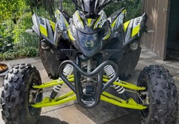 Gebrauchte Aeon Cobra 420 SX