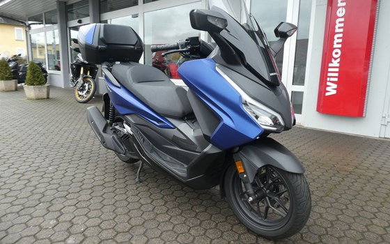 Gebrauchtmotorrad Honda Forza 125 - Bild 3