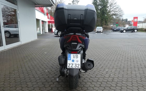 Gebrauchtmotorrad Honda Forza 125 - Bild 8