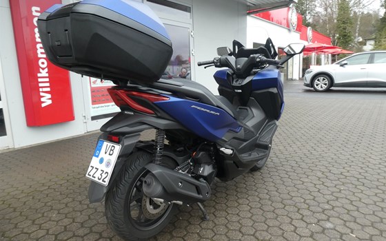Gebrauchtmotorrad Honda Forza 125 - Bild 9