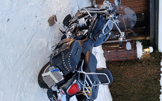 Gebrauchtmotorrad Suzuki Intruder C1800R - Bild 5