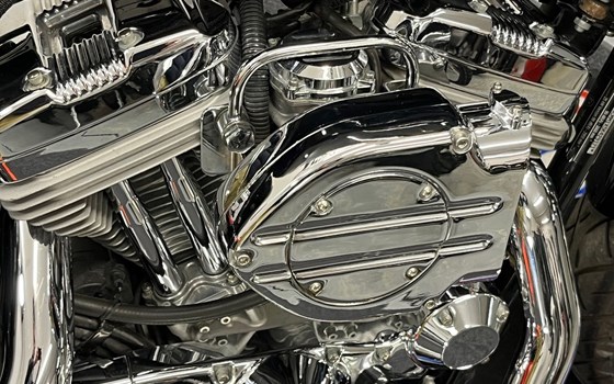 Gebrauchtmotorrad Harley-Davidson Sportster XL 883 - Bild 25