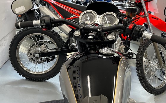 Gebrauchtmotorrad Triumph Street Cup - Bild 15