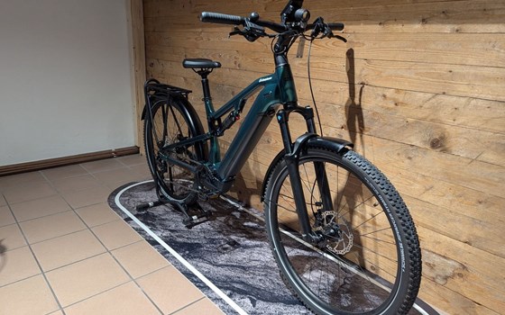 Neufahrzeug Raymon Crossray Pro - Bild 2