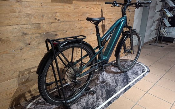 Neufahrzeug Raymon Crossray Pro - Bild 3