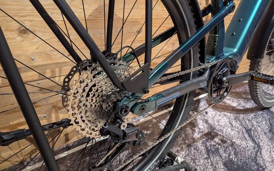 Neufahrzeug Raymon Crossray Pro - Bild 4