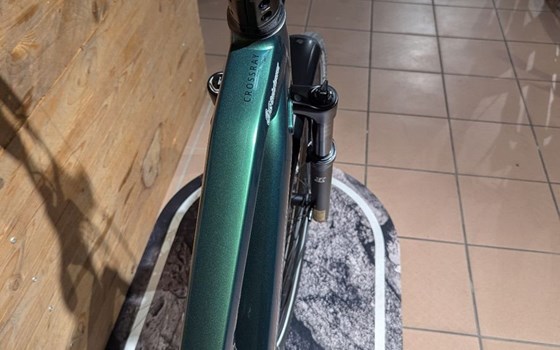 Neufahrzeug Raymon Crossray Pro - Bild 5