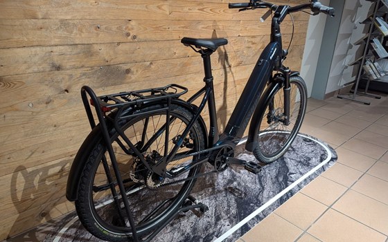 Neufahrzeug Raymon Metmo Pro - Bild 3